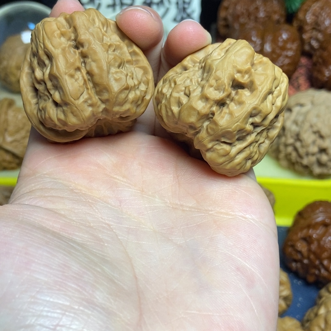 核桃蛤蟆头三开背37尺6肌肉