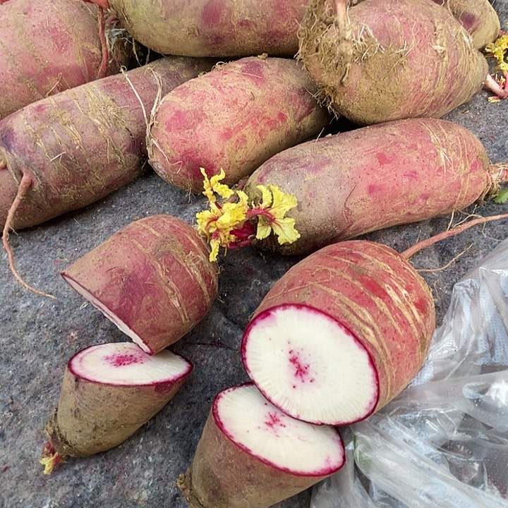 中国大陆川心红萝卜三斤