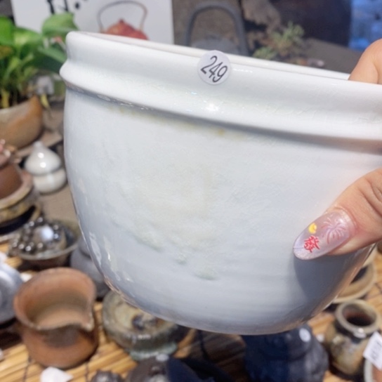 福利福利活动来了