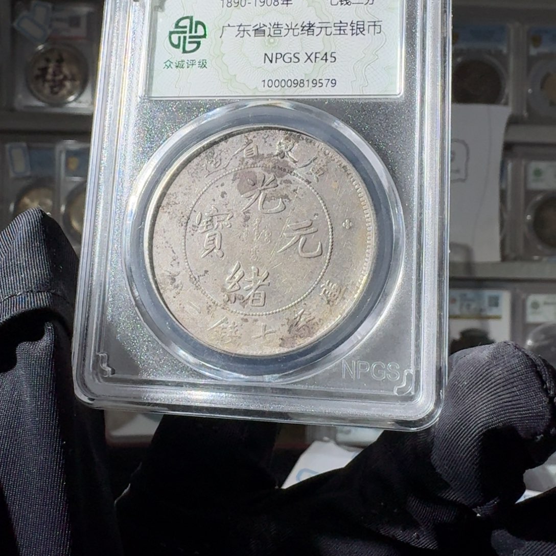 ****࿐大叶紫檀（黑酸枝木类）广东大龙一个 小师妹MM2