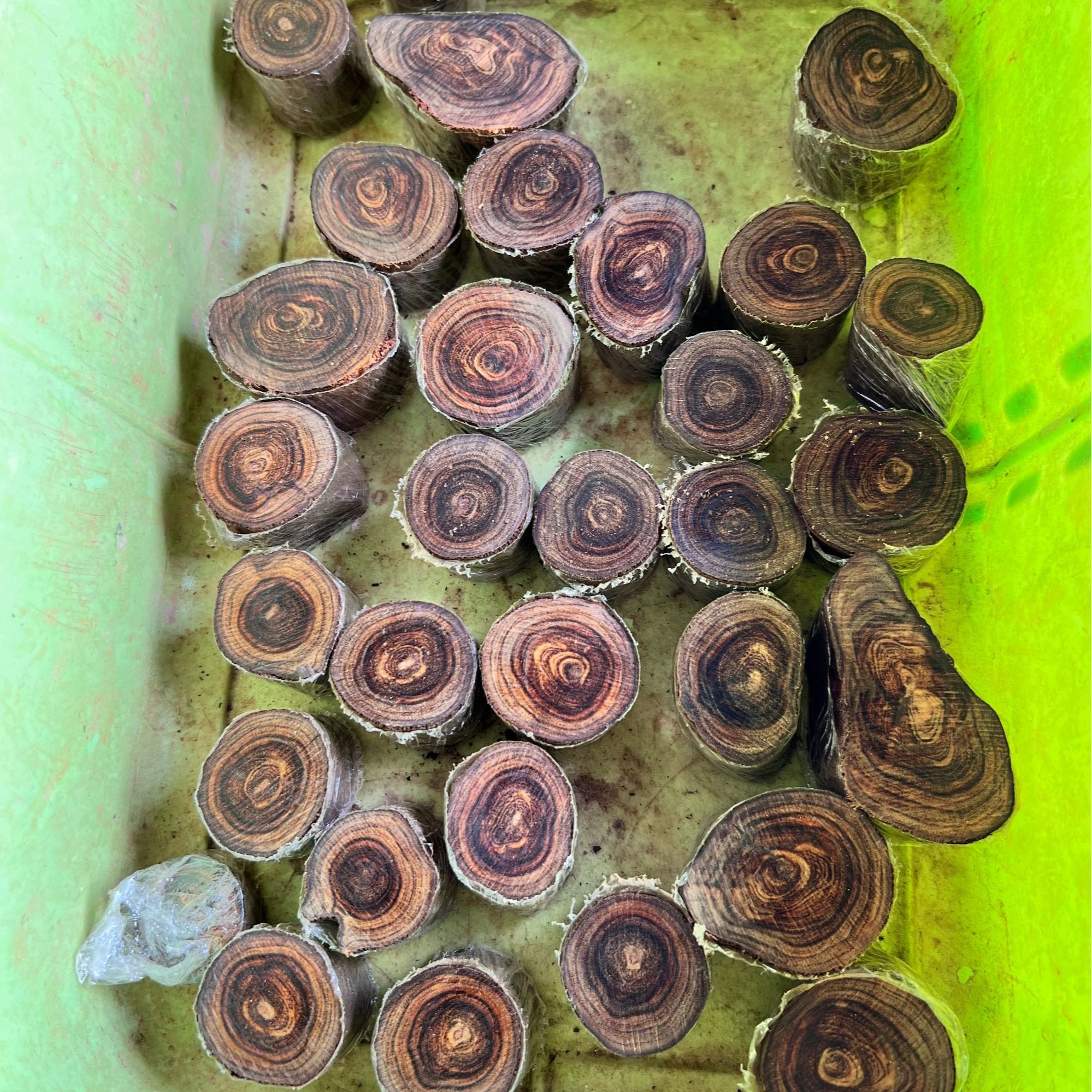 精品木串 定拍链接 请勿乱拍