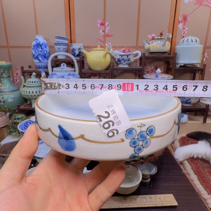 碗266啊啊啊啊啊啊啊啊啊啊啊啊