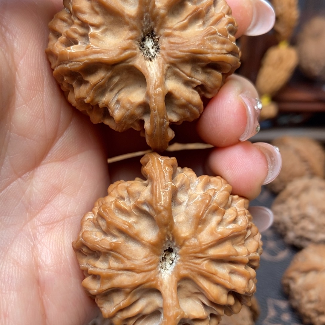 冰***镜大叶紫檀（黑酸枝木类）苹果园