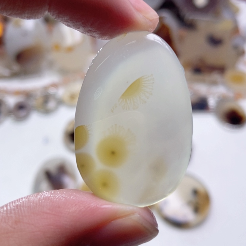 【闪购商品】玛瑙/玉髓颈饰未镶嵌