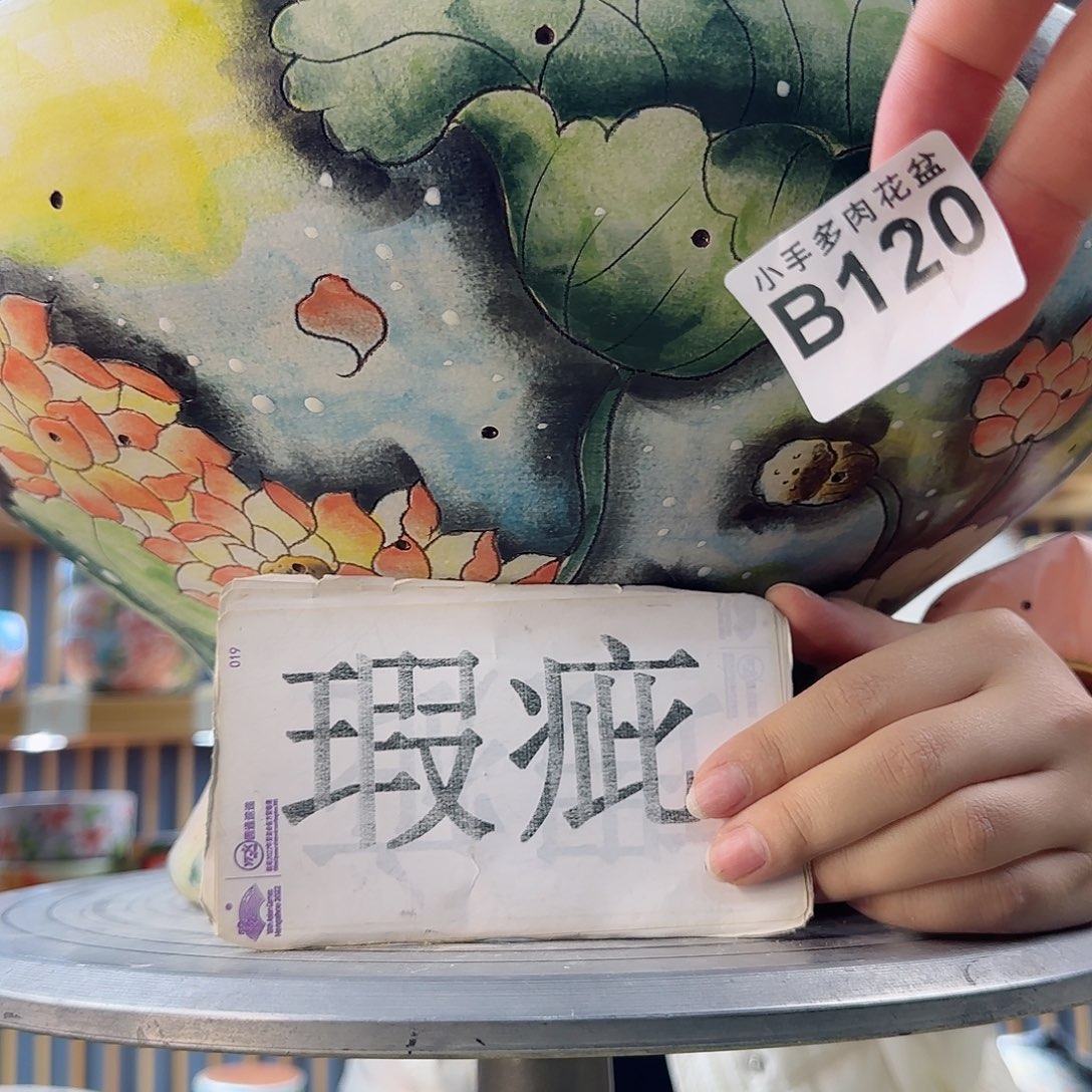 瓷片丸****妹微瑕实现微瑕微瑕