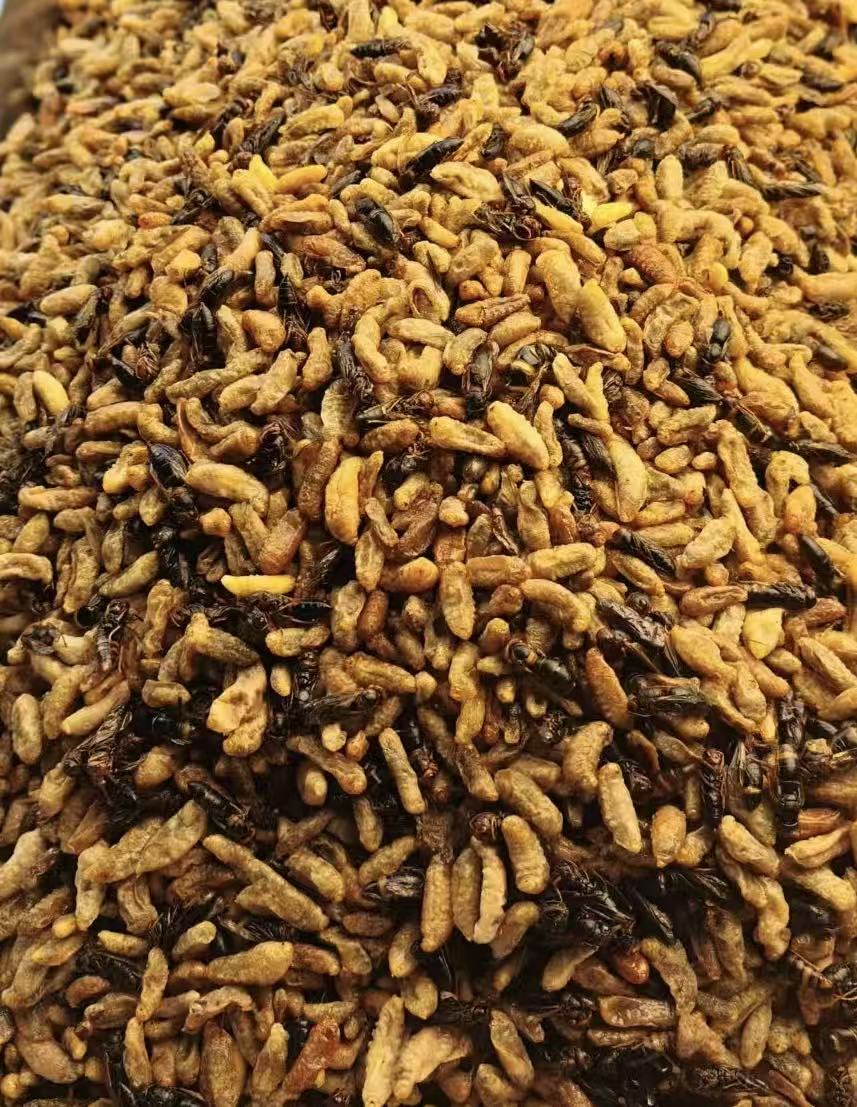 【双十一福利品嫩蜂】新鲜纯菜籽油现炸树蜂蛹【下酒菜】
