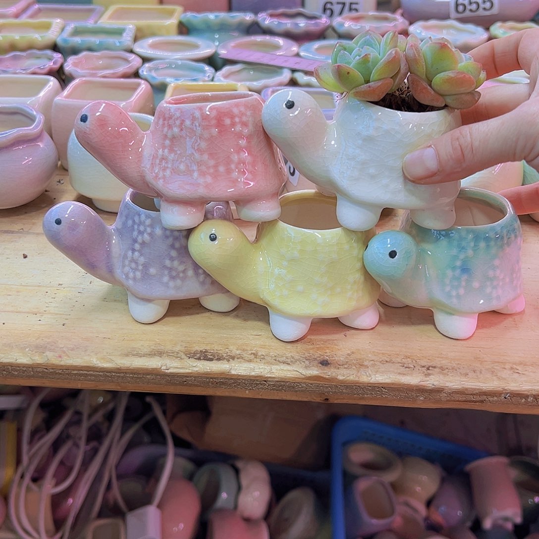 陶瓷花盆当场凑满12包邮