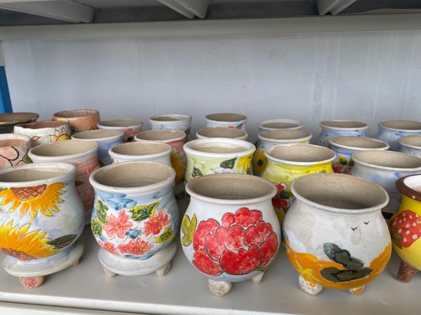 多肉植物 手绘盆一组2个随机 口径8高度9-10