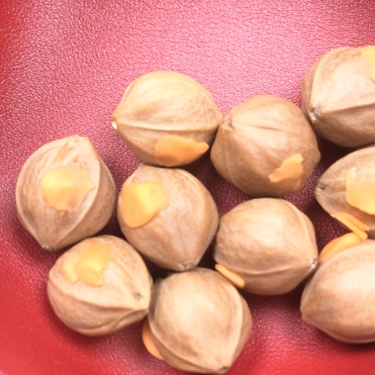 橄榄核手串/手链2.1橄榄核手串铁核