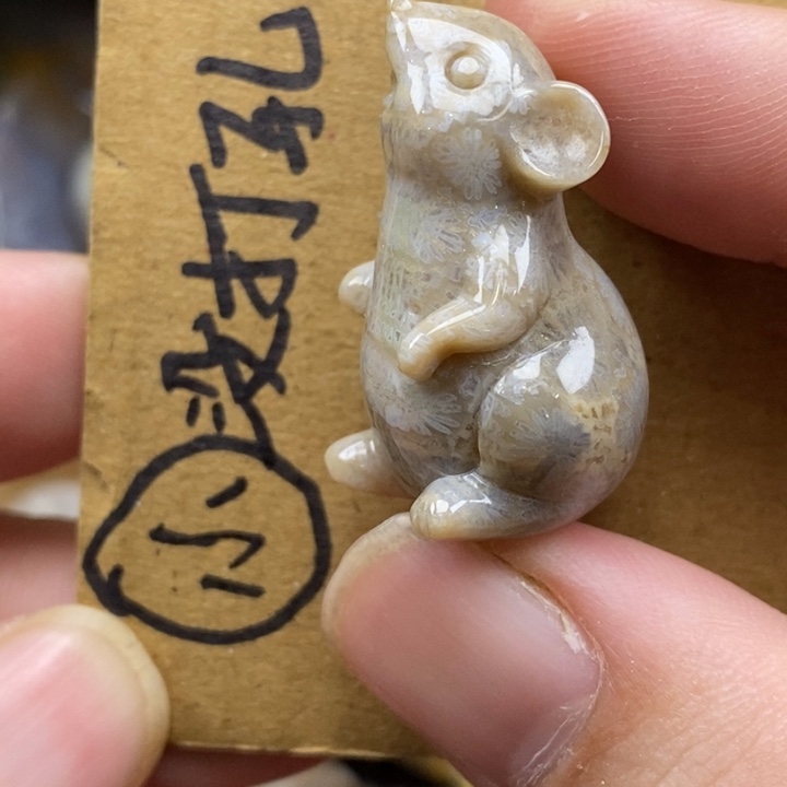 硅化珊瑚（珊瑚玉）未镶嵌颈饰