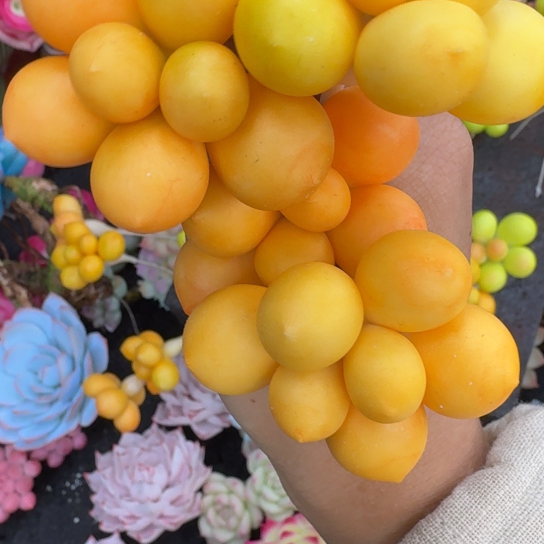 树脂13号哦哦哦哦哦哦哦