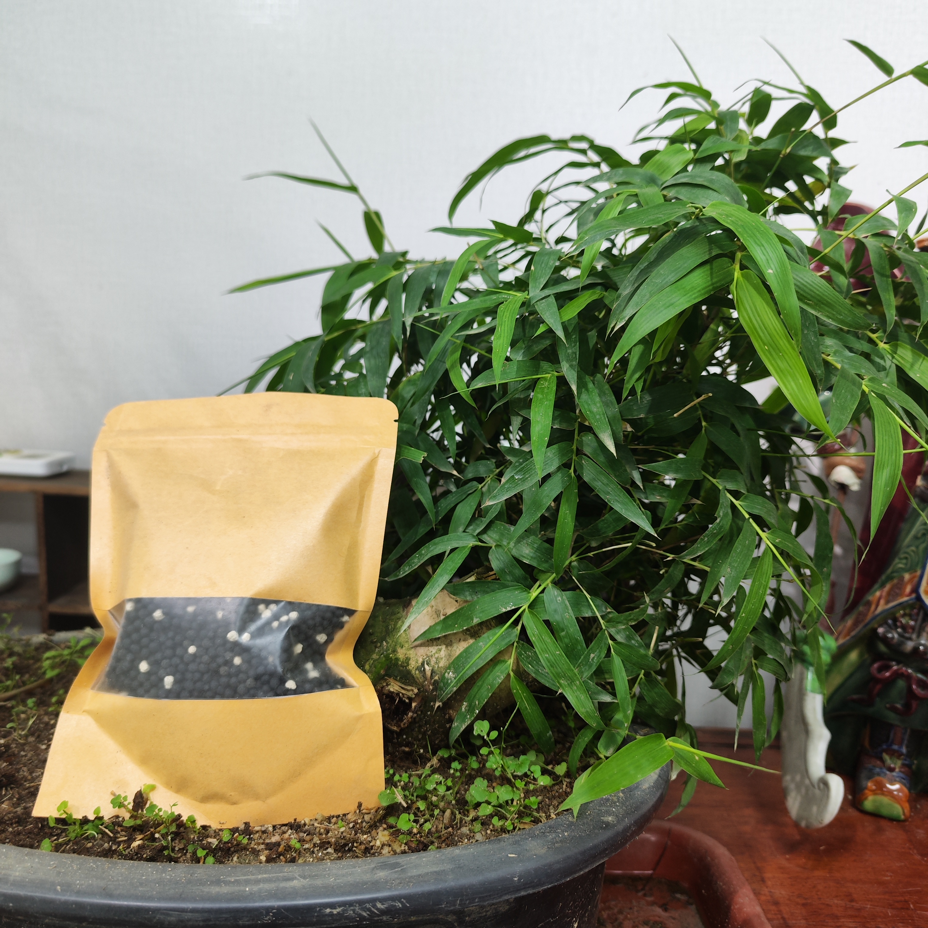 小叶簕竹室内盆栽专用复合颗粒肥绿植花卉肥料