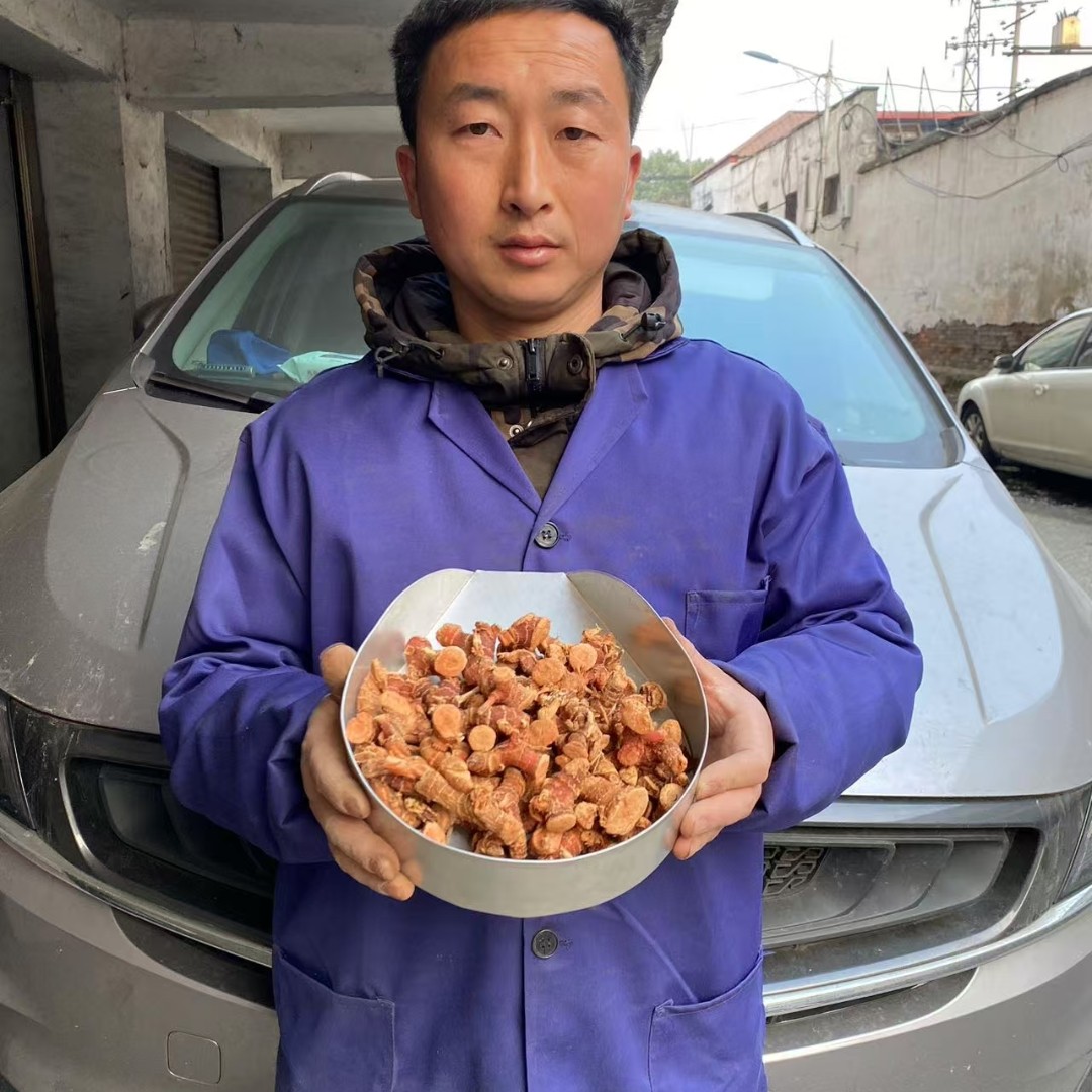 高良姜 广西大个选货高良姜农家货无添加