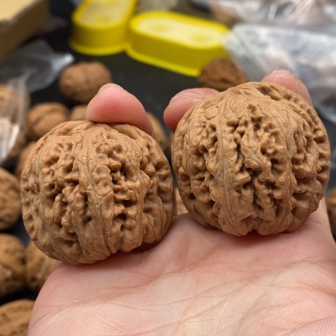 文玩核桃吊坠屎****便粗筋