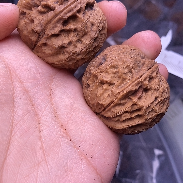 吊坠文玩核桃  187