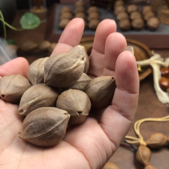 橄榄核手串/手链风**茂……20✖️28