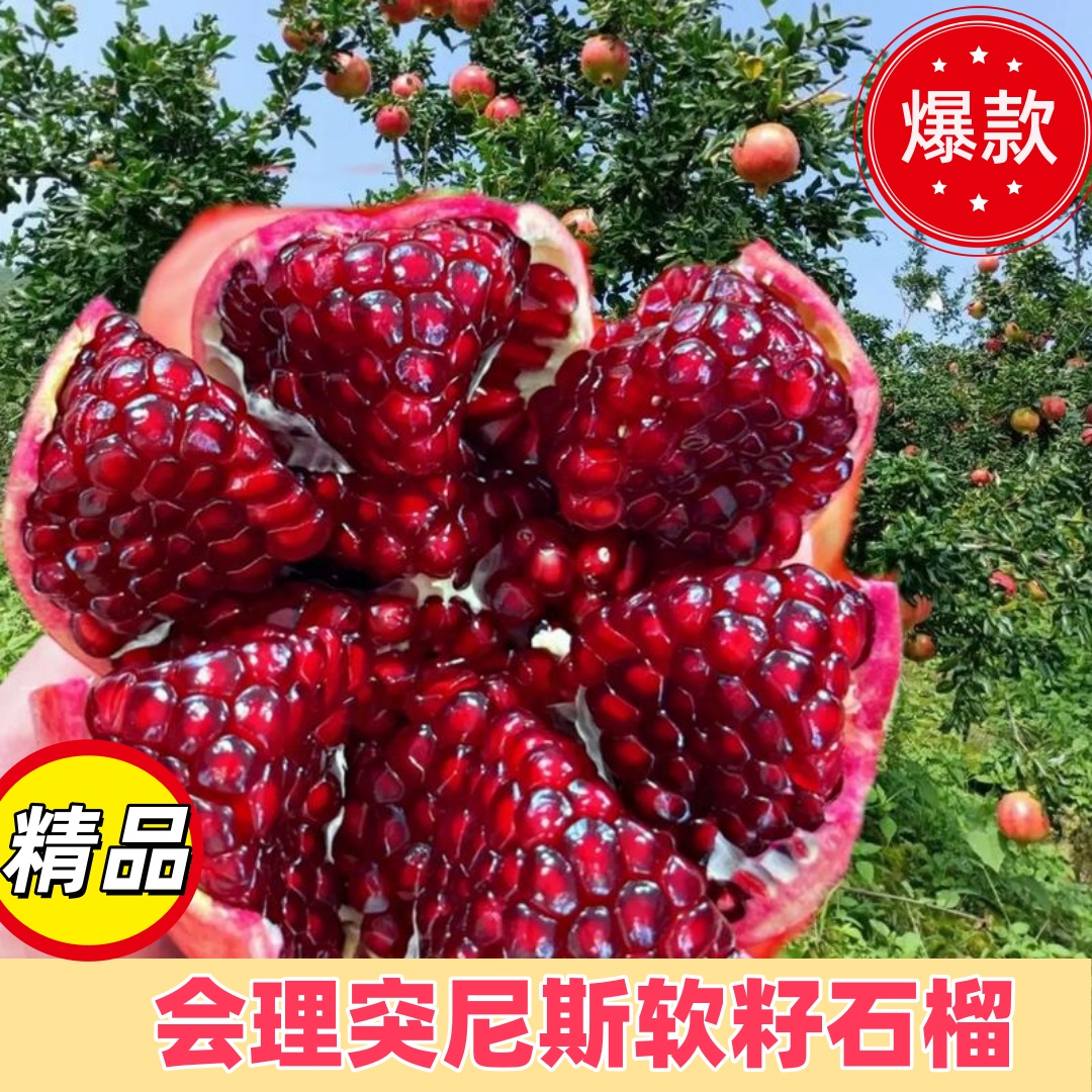 四川会理软籽石榴新鲜采摘当季水果爆甜多汁少籽