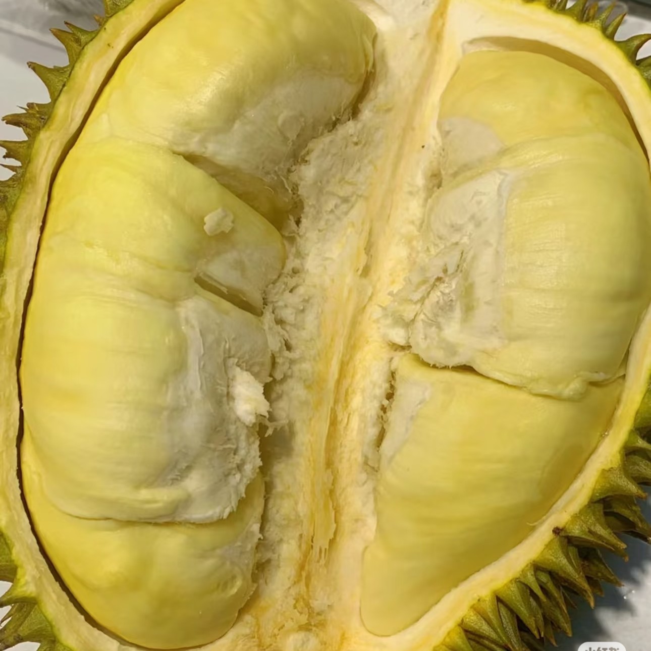 泰国熟熟干尧新鲜榴莲16.9元一斤核小干尧泰国东部