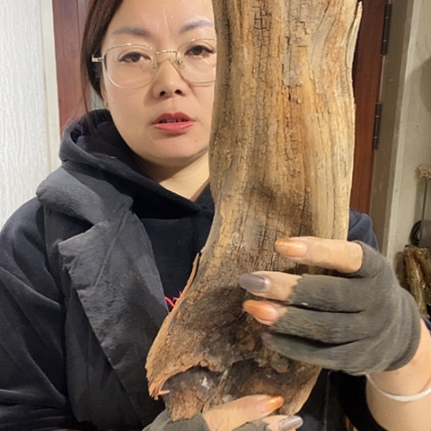 龙***文玩核桃吊坠哈哈哈哈哈