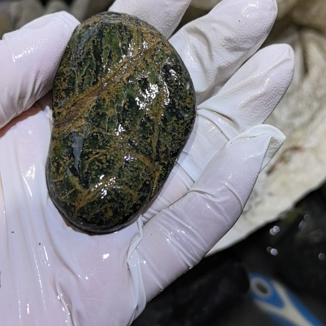 瑞***疗藏玉药王石原石一个