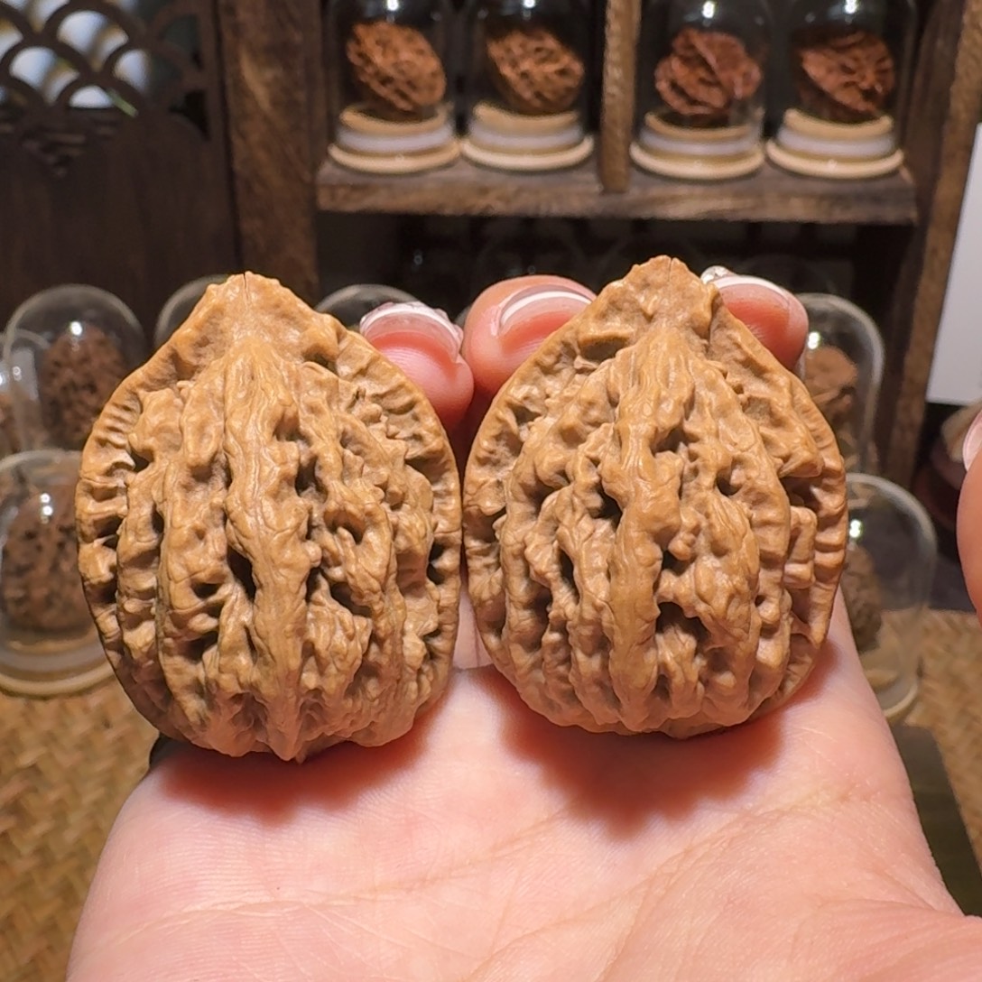 文玩核桃把件龙脊锤