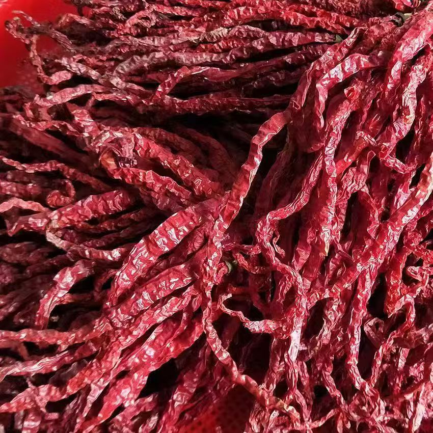 贵州辣椒鸡爪辣椒二荆条线辣椒皱皮干辣椒