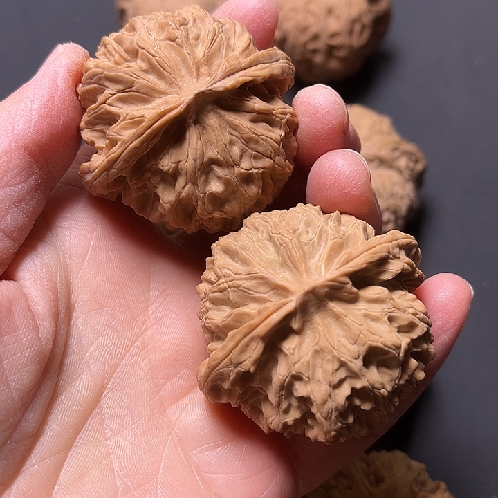 核桃苹果园全品白茶45+