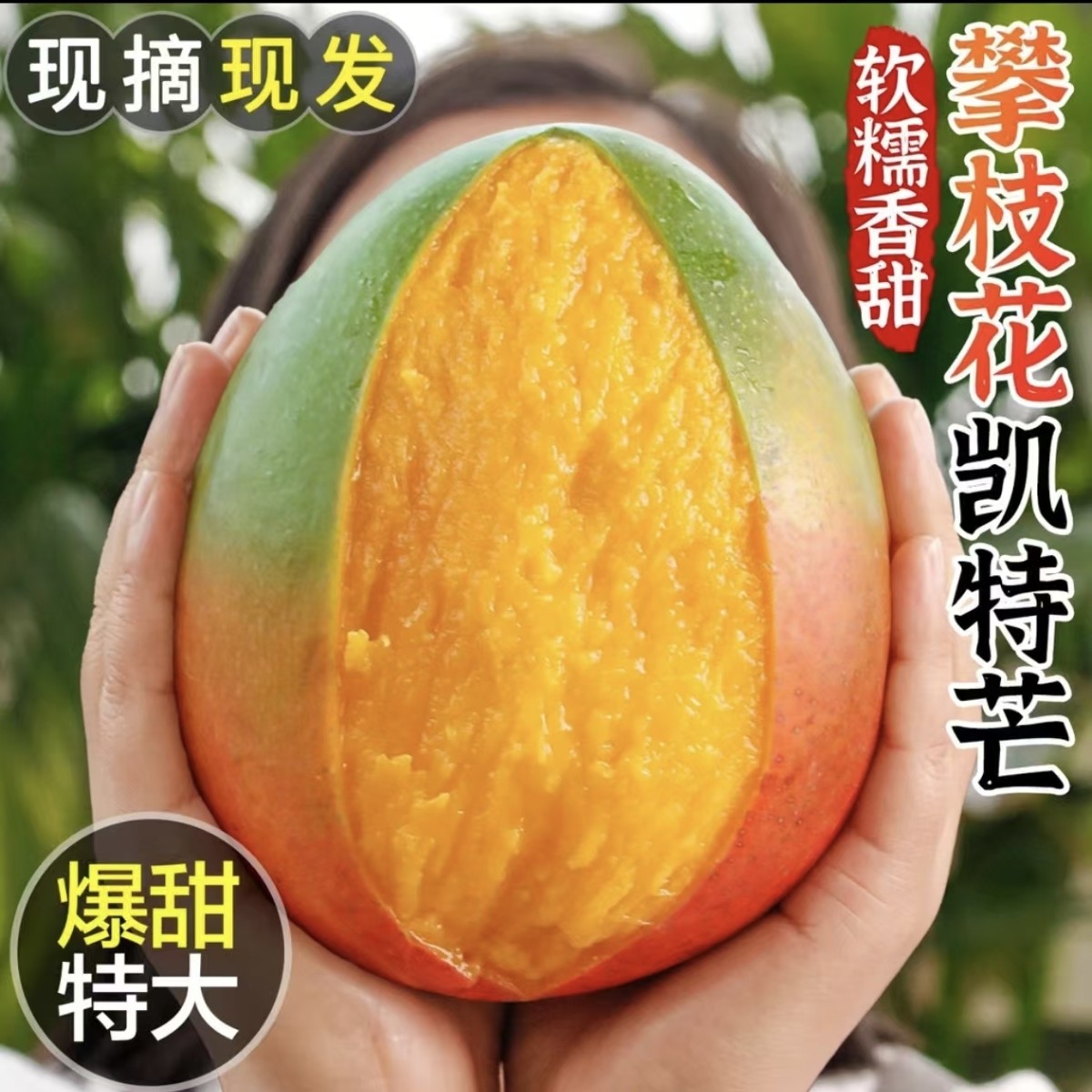 【爆甜芒果】四川攀枝花凯特芒果新鲜应季水果包邮大青芒果整箱果M