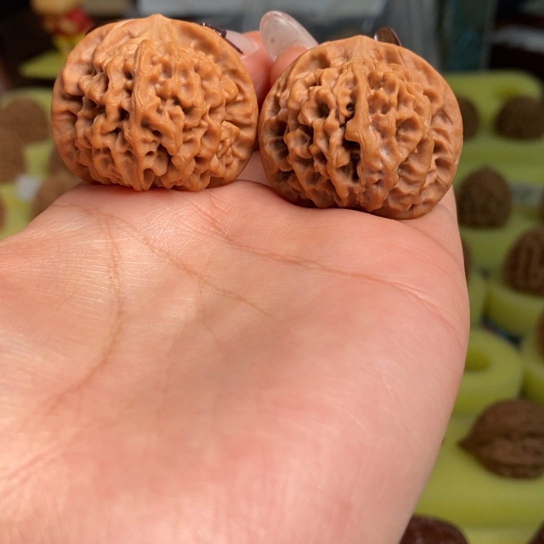 核桃秦岭闷尖狮子头34