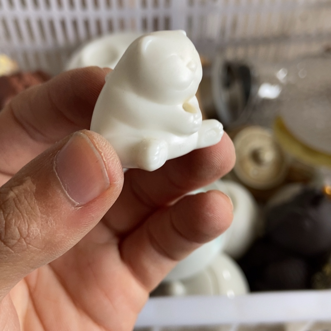 杯直播链接直播链接