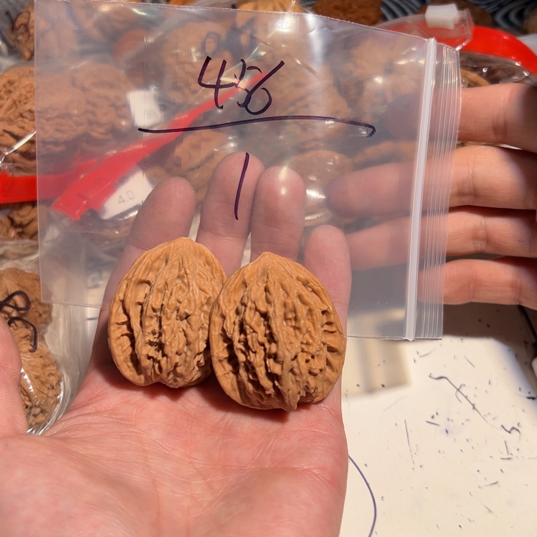 励***生核桃手串/手链456