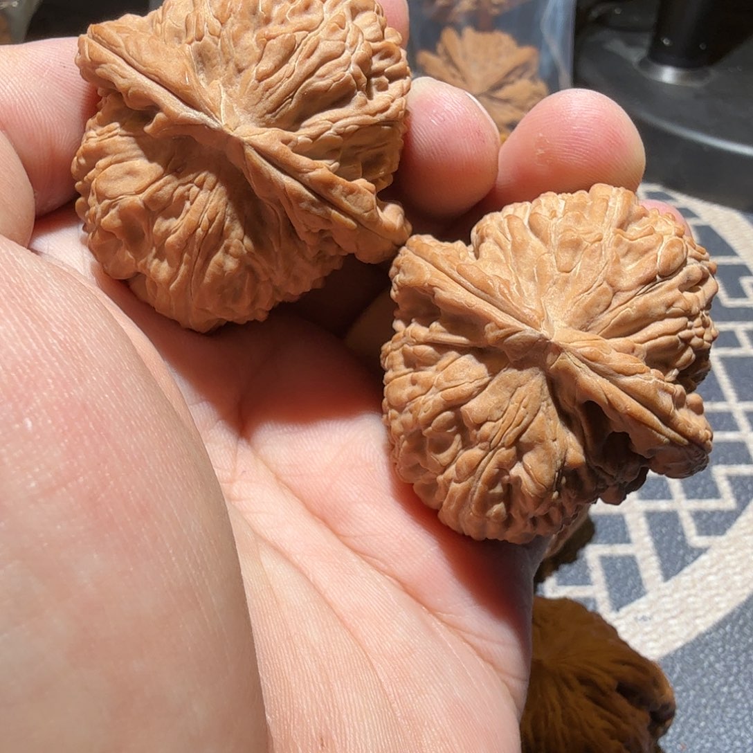 文玩核桃把件白狮子