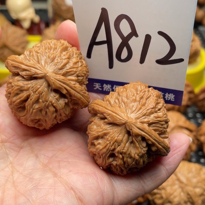 桃核把件白狮子38
