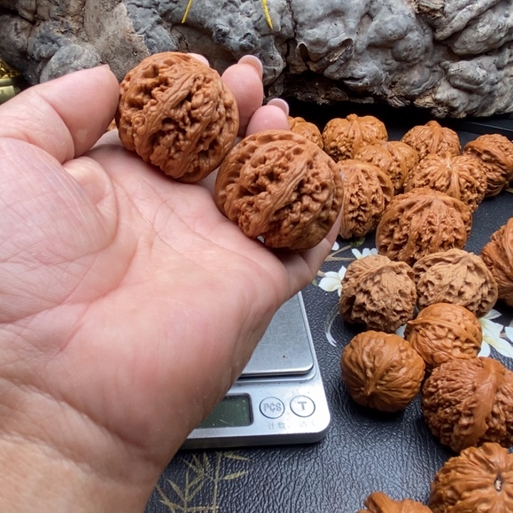 微修40大粗筋新果