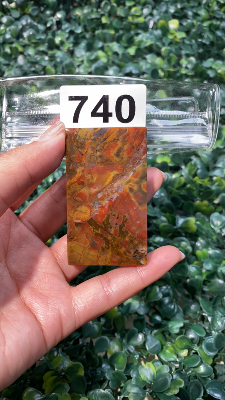 天然北票硅化玉牌子长：61mm宽：36mm厚：8.8mm