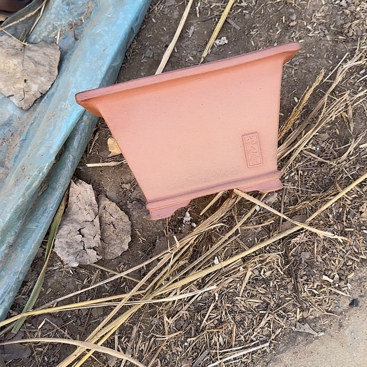 是因为她太喜欢了所以还是觉得不应该在学校看