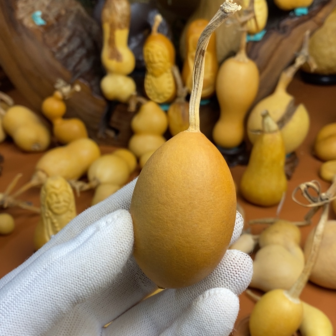 m***教练咯教练咯教练咯