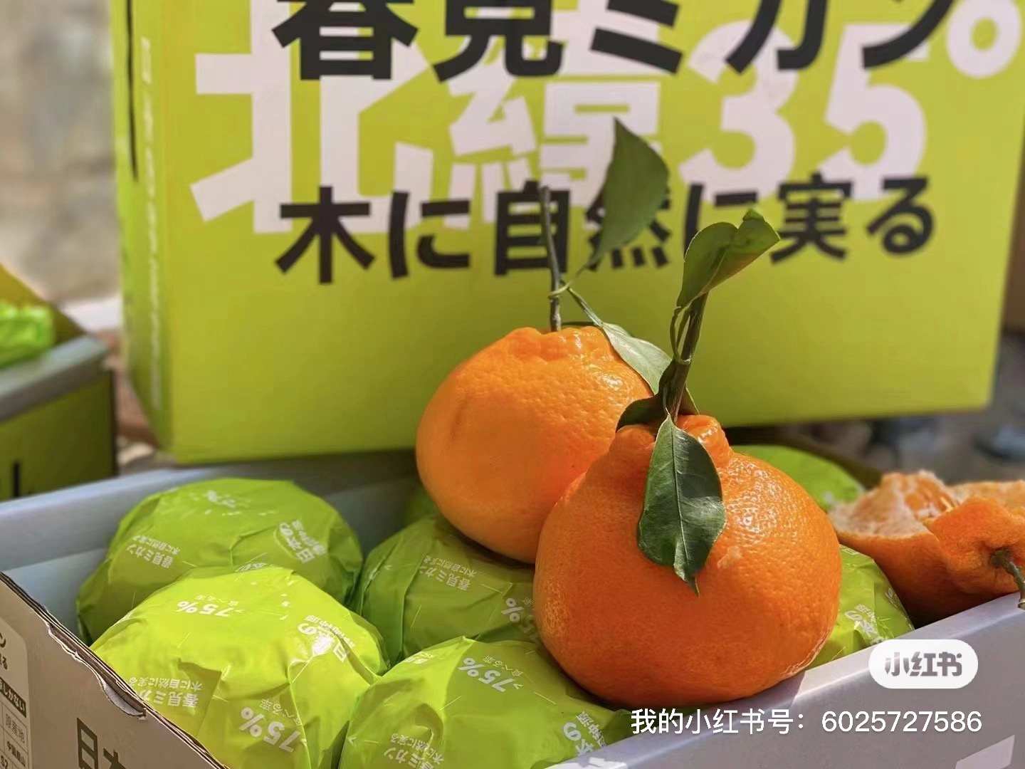 【快递包邮】春见粑粑柑一箱7斤左右耙耙柑四川省