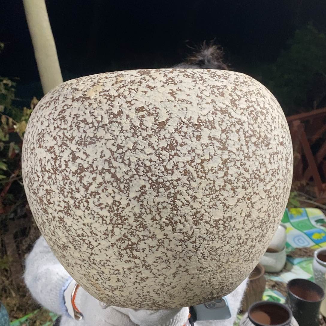 正品口径24高26（hhggg