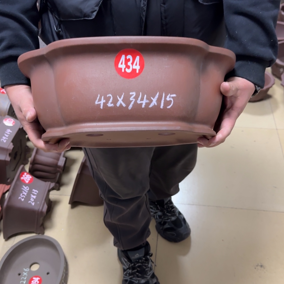 紫砂花盆呜呜呜我的小