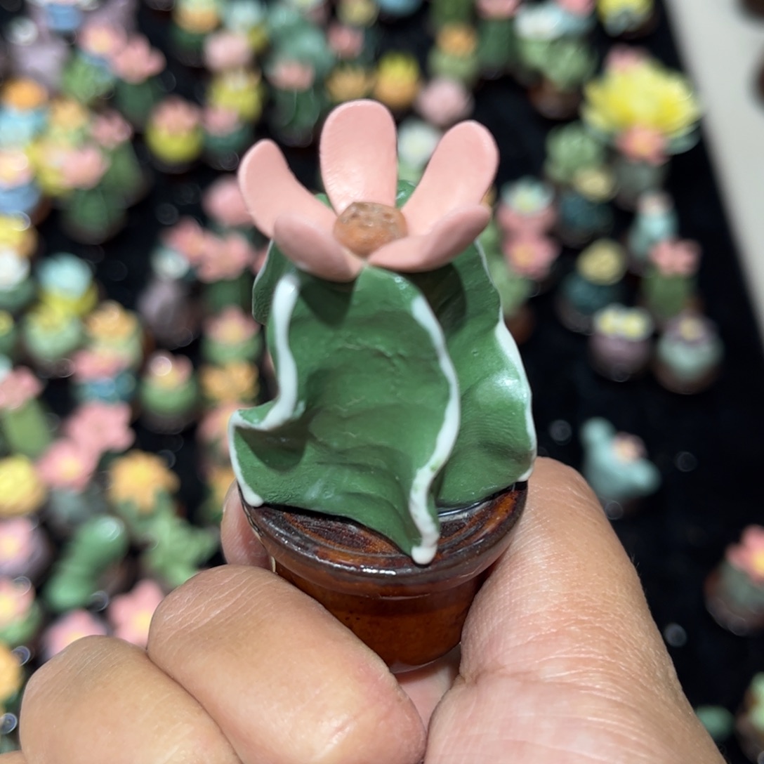 瓷片红红火火过大年
