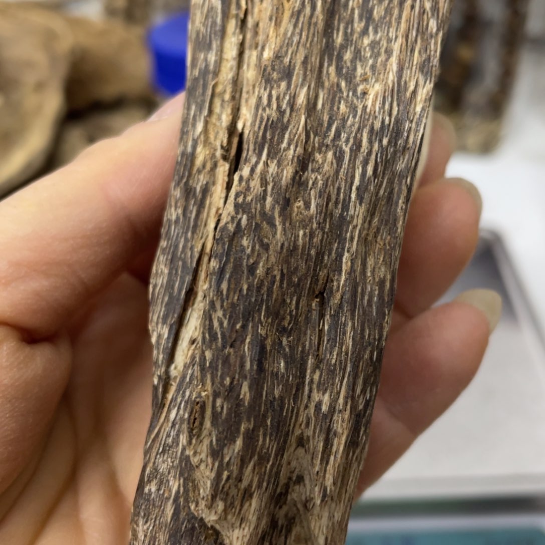 沉香摆件海南沉香块料21克