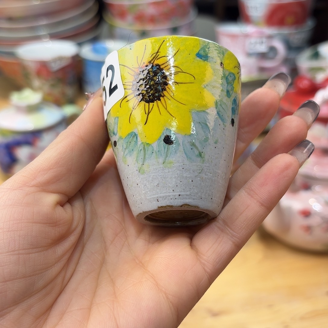 瓷片在这个充满生机又神秘