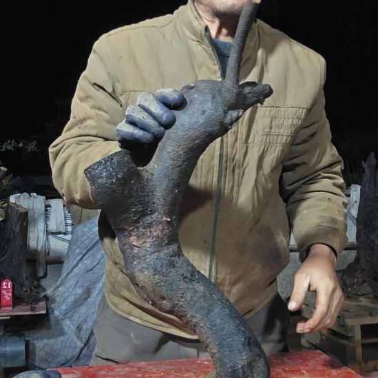 均***哥无花朵山里人家金单子