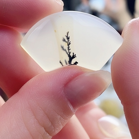 玛瑙/玉髓珠宝奇石未镶嵌