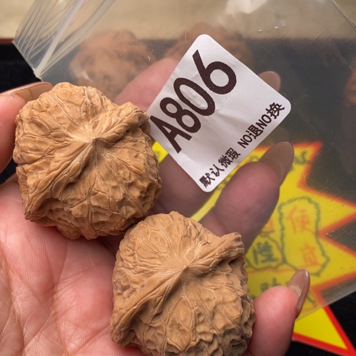 南瓜43尺806号123