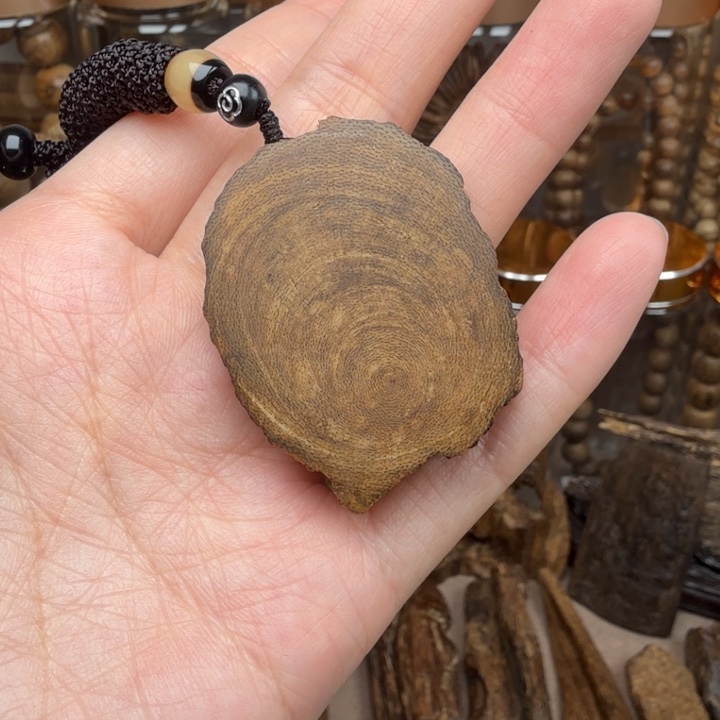 沉香沉香碎屑文莱沉香随型6.3克