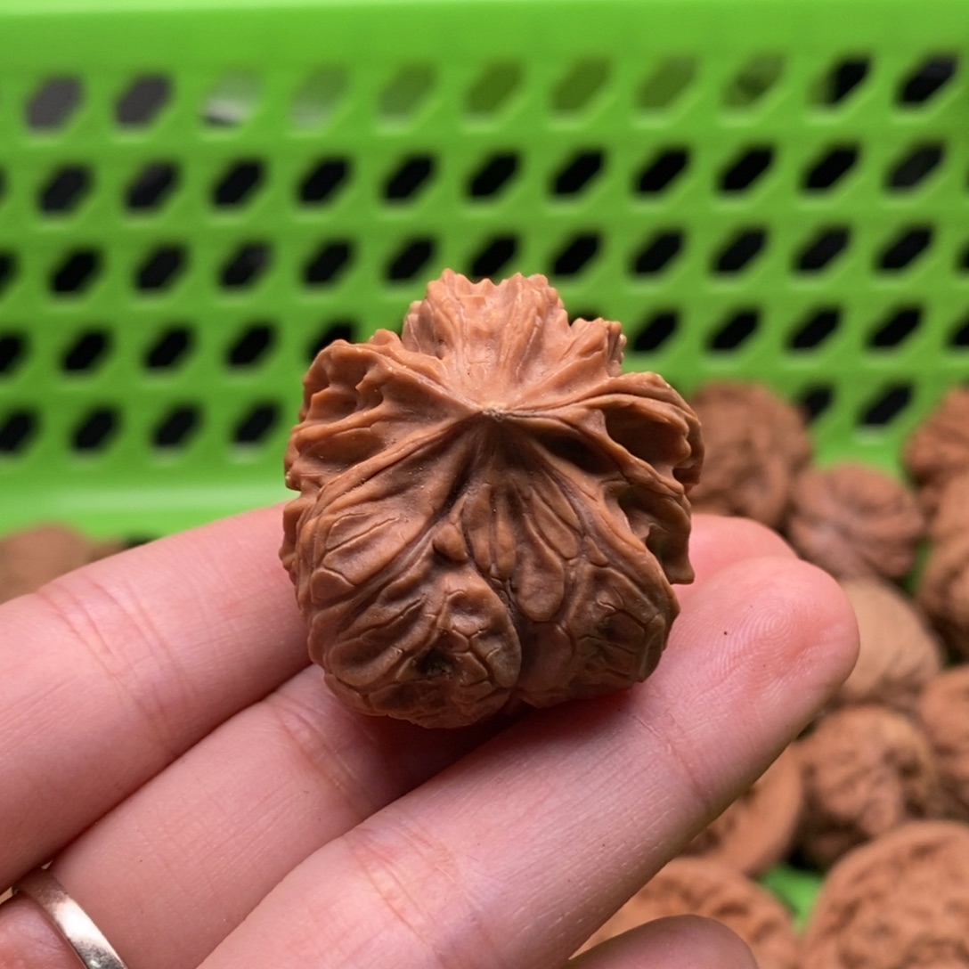 飞***觉核桃定制商品不退不换