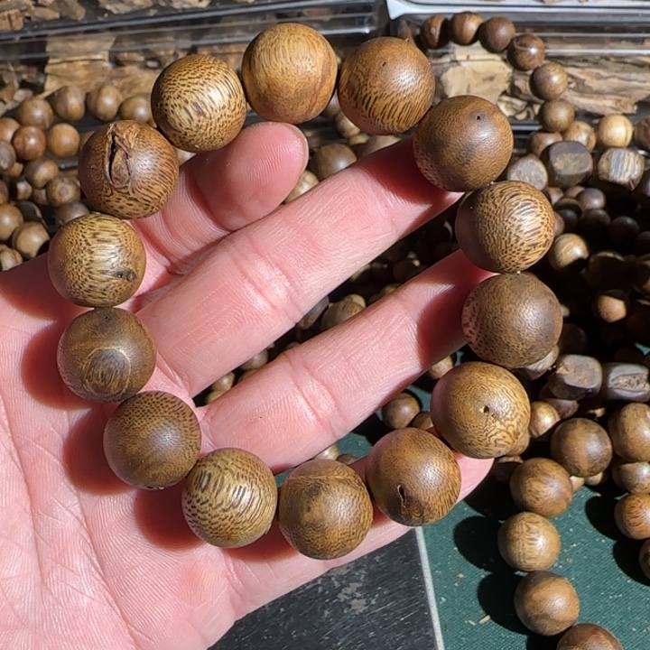 沉香沉香碎屑/乌身虫漏1.6