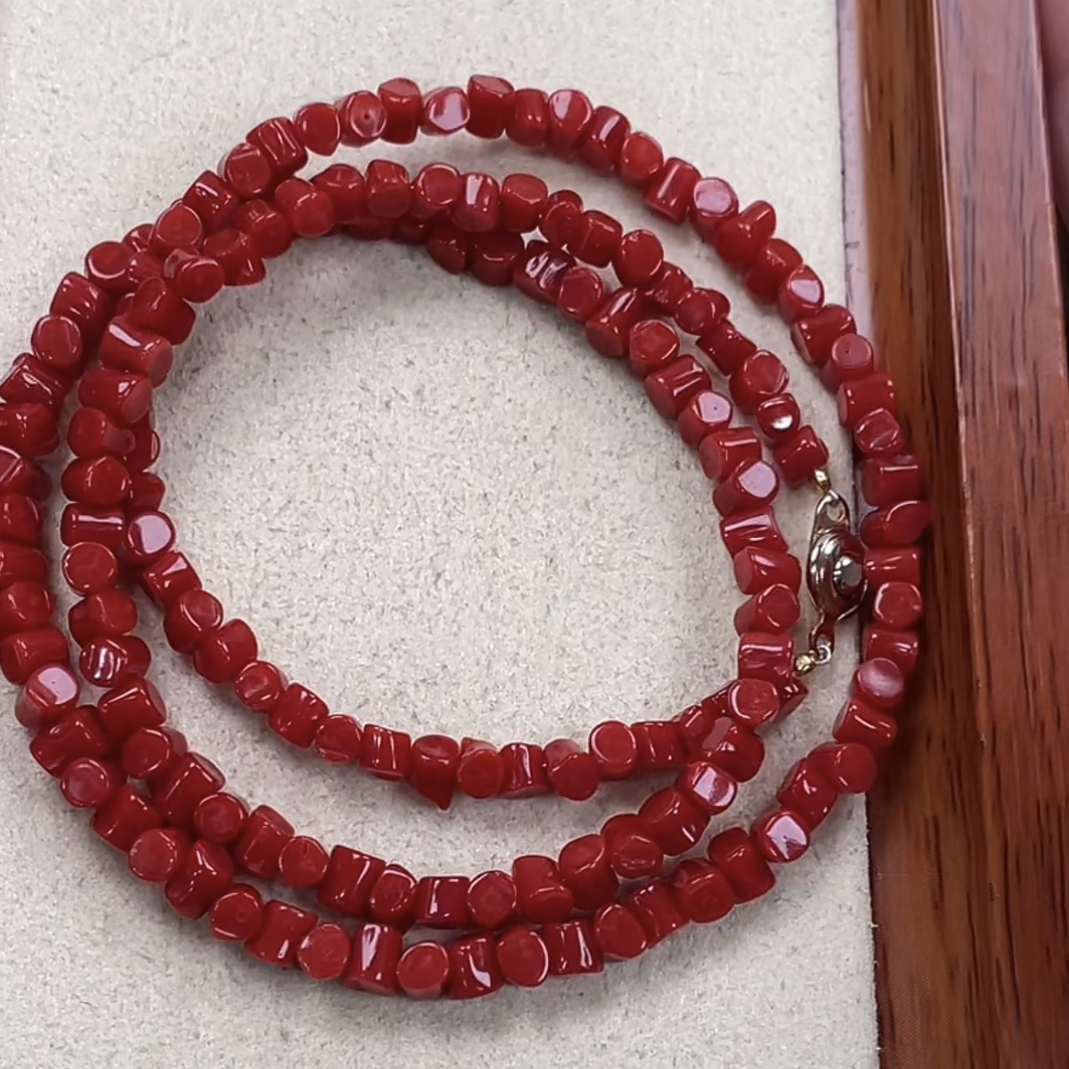 天然红珊瑚科西卡牛血色大号达仔手链 58长